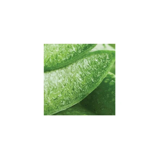 New ProjecDr. Organic Aloe Vera Deodorant 50mlt