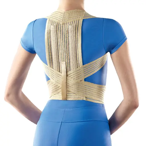 Posture Brace with steel stays-L